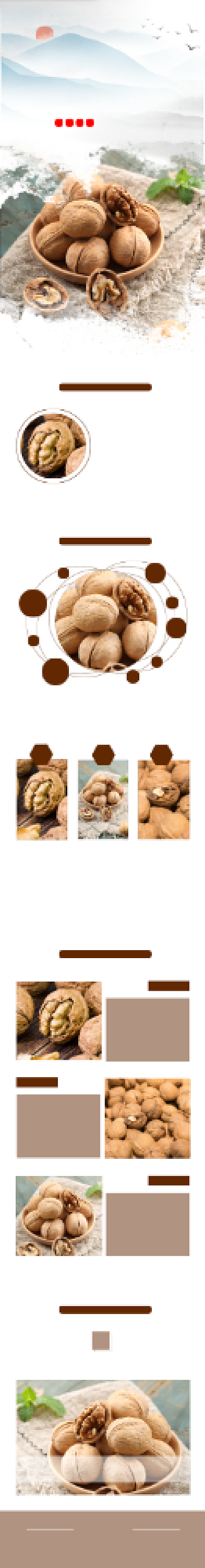 山核桃坚果零食电商淘宝详情页背景