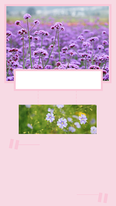 关于爱情文章配图背景