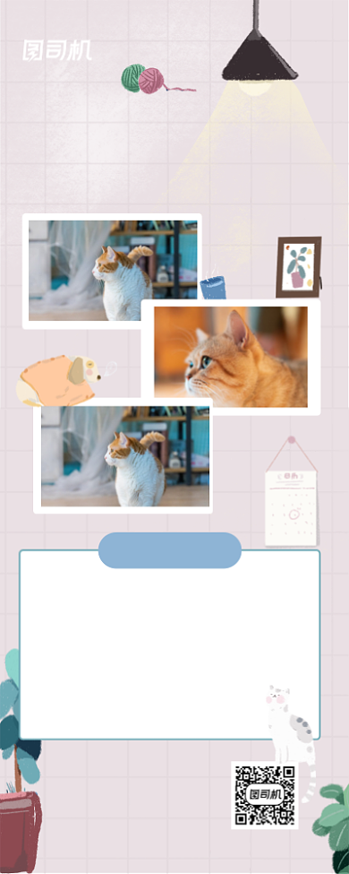 宠物摄影大赛和宠物的故事手机长图背景