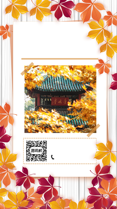秋季旅游清新简约宣传手机海报背景