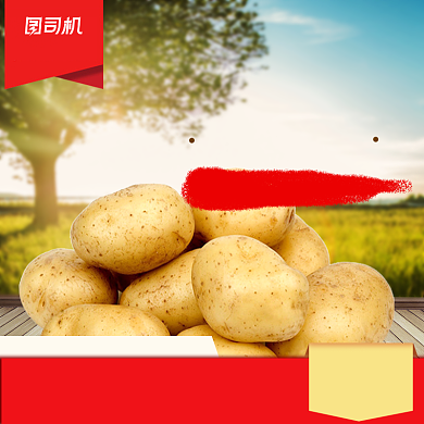 食品土特产土豆马铃薯主图背景