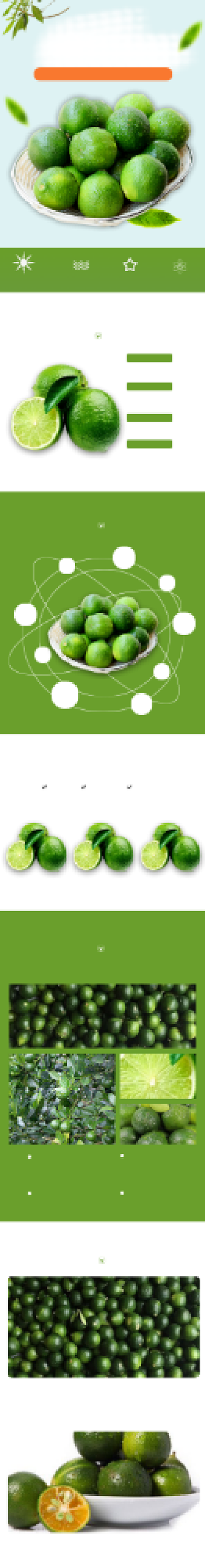 青金桔详情页电商淘宝绿色时尚简约大气背景