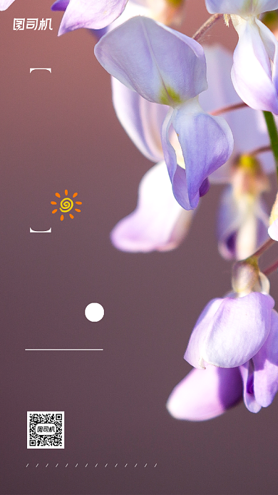 十一月你好简约清新日签宣传手机海报背景