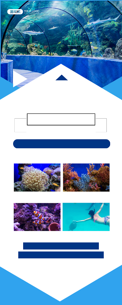 水族馆观光时尚几何创意宣传易拉宝背景