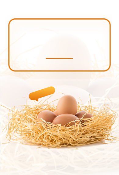 高品质农家土鸡蛋限时购买钻展背景