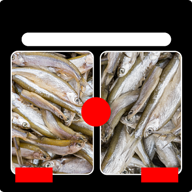 食品海鲜类淘宝直通车小黄鱼主图背景