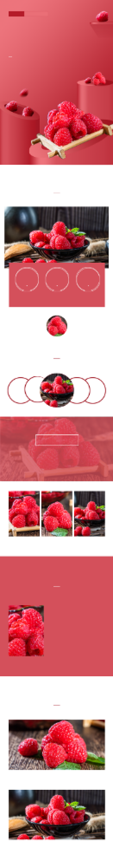 树莓覆盆子冷冻树莓食品茶饮详情页背景