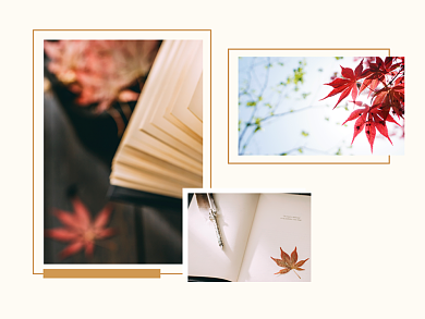 翩翩落叶枫叶横版配图背景