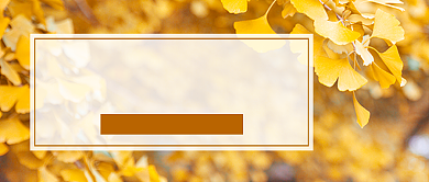 立秋节气秋季摄影图公众号首图背景