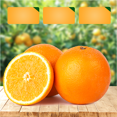 果园水果橘子橙子赣南甜心脐橙主图背景