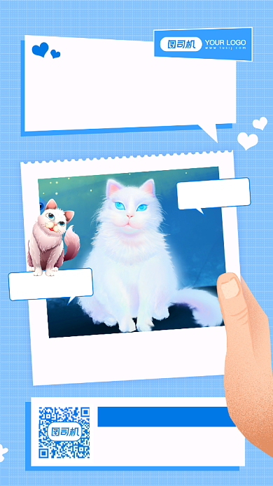 萌宠波斯猫宣传摄影图手机海报背景