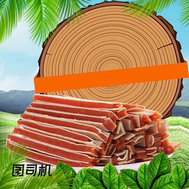 宠物零食狗粮猫粮淘宝主图背景