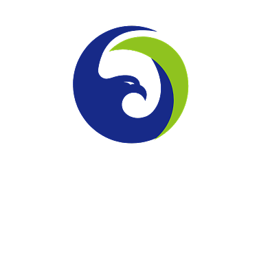 鹰型商务通用标志LOGO背景