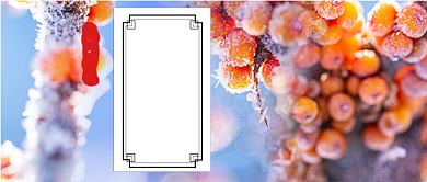 简约图文大雪节气公众号首图背景