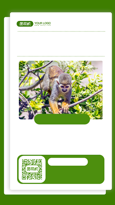 动物园周末游摄影图手机海报背景