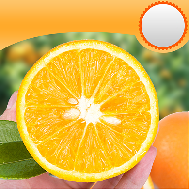 水果赣南甜心脐橙橘子橙子主图背景