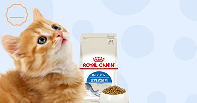 双十二健康宠物猫粮健康促销海报背景