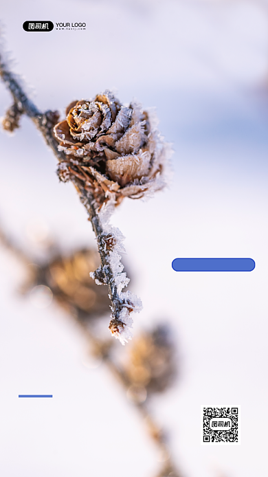 大雪二十四节气写实手机海报背景