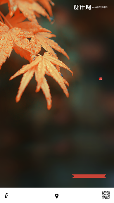 房地产立秋枫叶手机海报背景