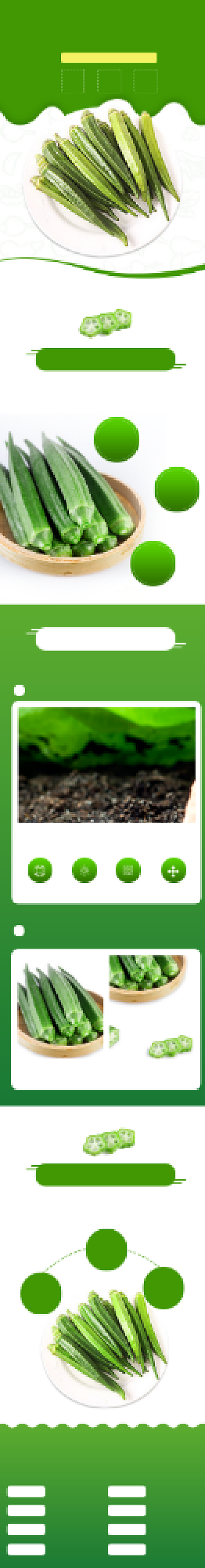 秋葵蔬菜食品详情页背景