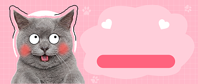 萌宠宠物店可爱公众号首图背景