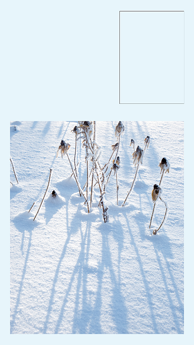 简约雪景冬至节气文章配图背景