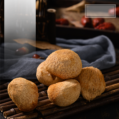 猴头菇食品菌菇淘宝主图直通车模板背景