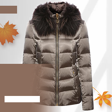 冬季女装羽绒服棉服主图直通车背景