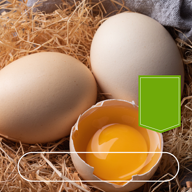 鸡蛋食品农副产品直通车模板背景