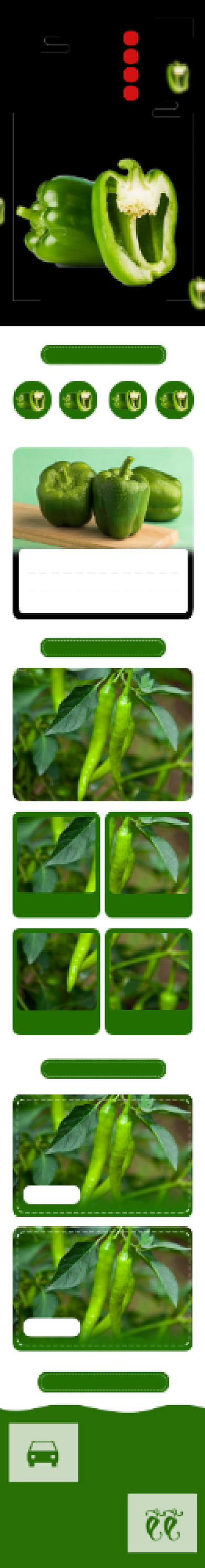 青椒肉椒辣椒蔬菜生鲜详情页背景