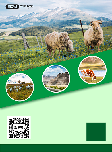 青海旅游扁平写实宣传印刷海报背景