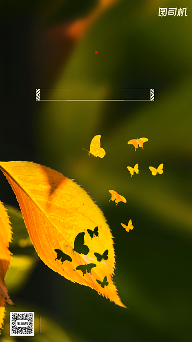 传统节气秋分手机海报背景