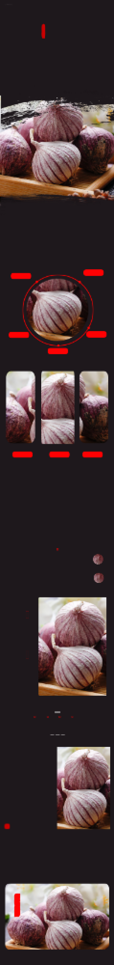 大蒜新鲜蔬菜水果黑色生疏详情页背景