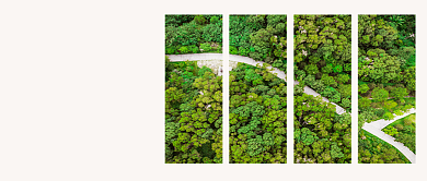 你好九月简约公众号首图背景