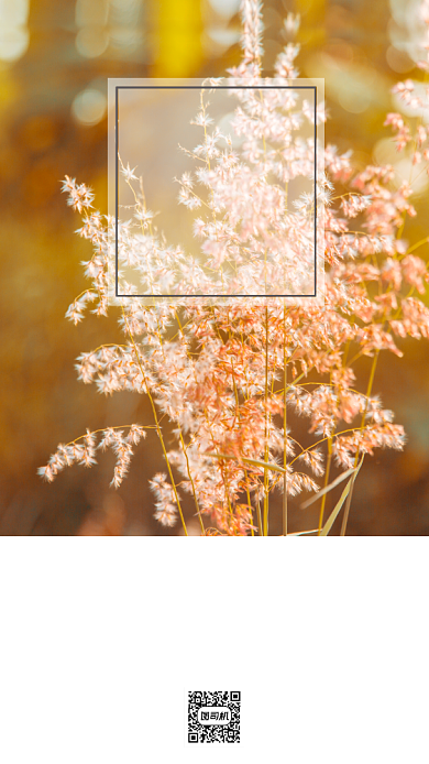 励志早安签到手机海报背景