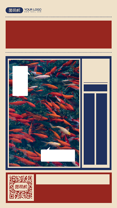 锦鲤观赏鱼宣传摄影图手机海报背景