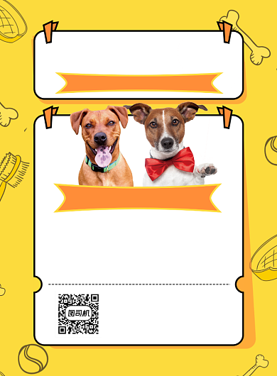 宠物直播带货讲解黄色简约风宣传海报背景