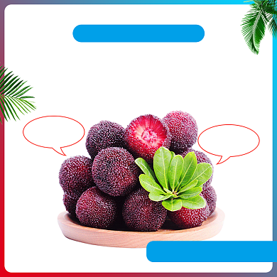 简约风水果杨梅主图背景