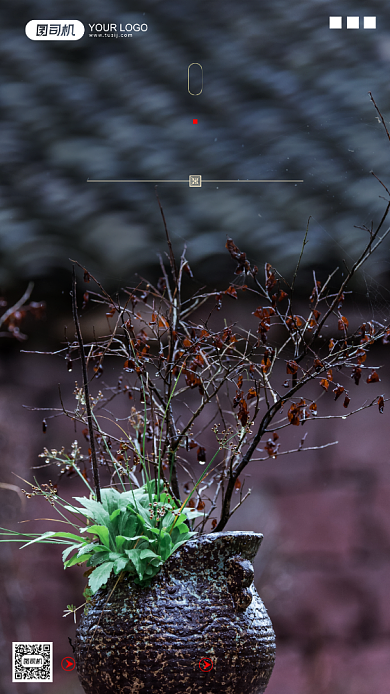 寒露节气摄影图文艺清新简约手机海报背景