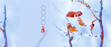 简约图文大雪节气新媒体首图背景