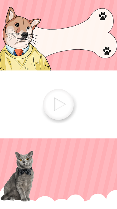 宠物训练宠物了解直播视频边框背景