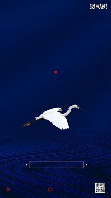 房地产传统节气白露手机海报背景