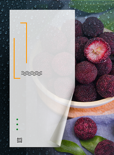 天然杨梅健康水果印刷海报背景