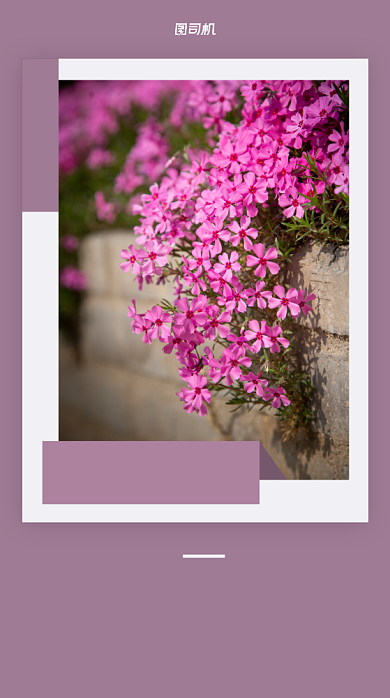 日签心情花手机海报背景