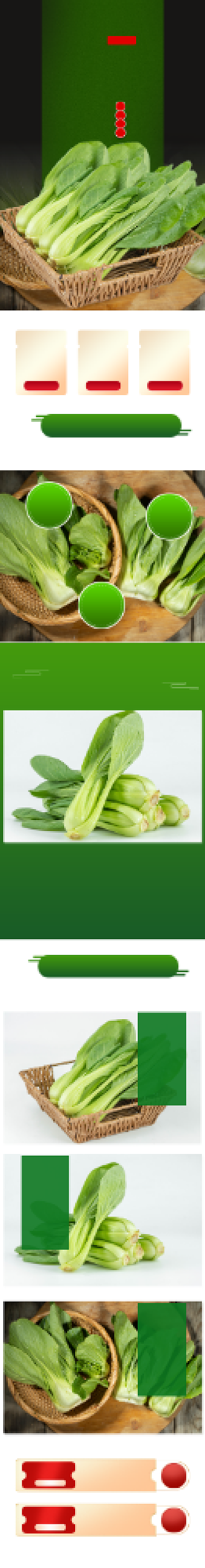 上海青小油菜食品蔬菜双十二详情页背景