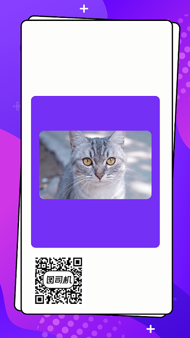 宠物店开业促销宣传手机海报背景