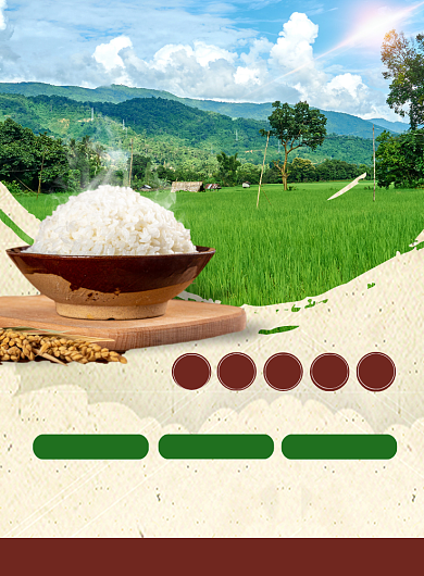 富硒健康大米印刷海报背景