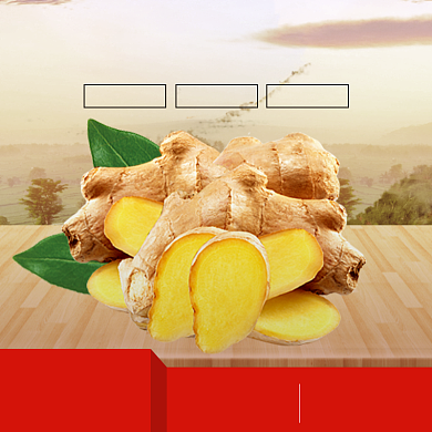 新鲜生姜产地直发有坏包赔简约促销主图背景