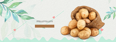 土豆蔬菜农产品电商全屏广告背景