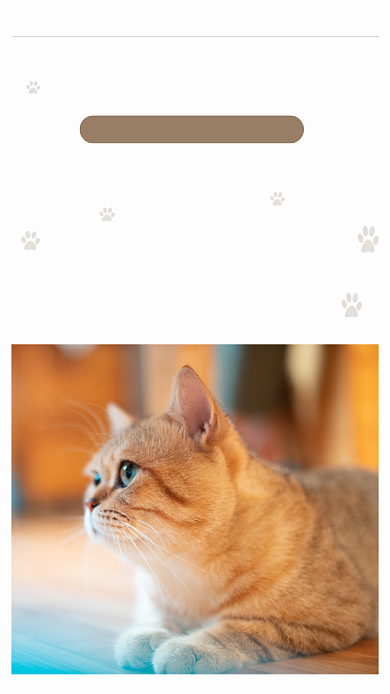 简约宠物猫文章配图背景